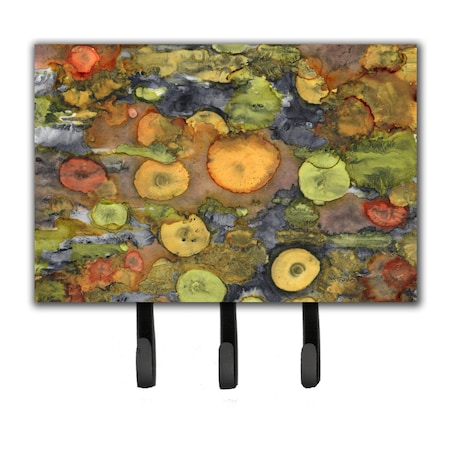 Carolines Treasures Abstract With Mother Earth Leash or Key Holder 8966TH68